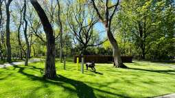 q2.jpg-Nowy wybieg dla psów przy ul. Mogilskiej