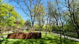 q3.jpg-Nowy wybieg dla psów przy ul. Mogilskiej