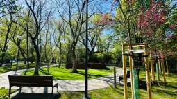 q4.jpg-Nowy wybieg dla psów przy ul. Mogilskiej