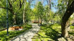 q5.jpg-Nowy wybieg dla psów przy ul. Mogilskiej