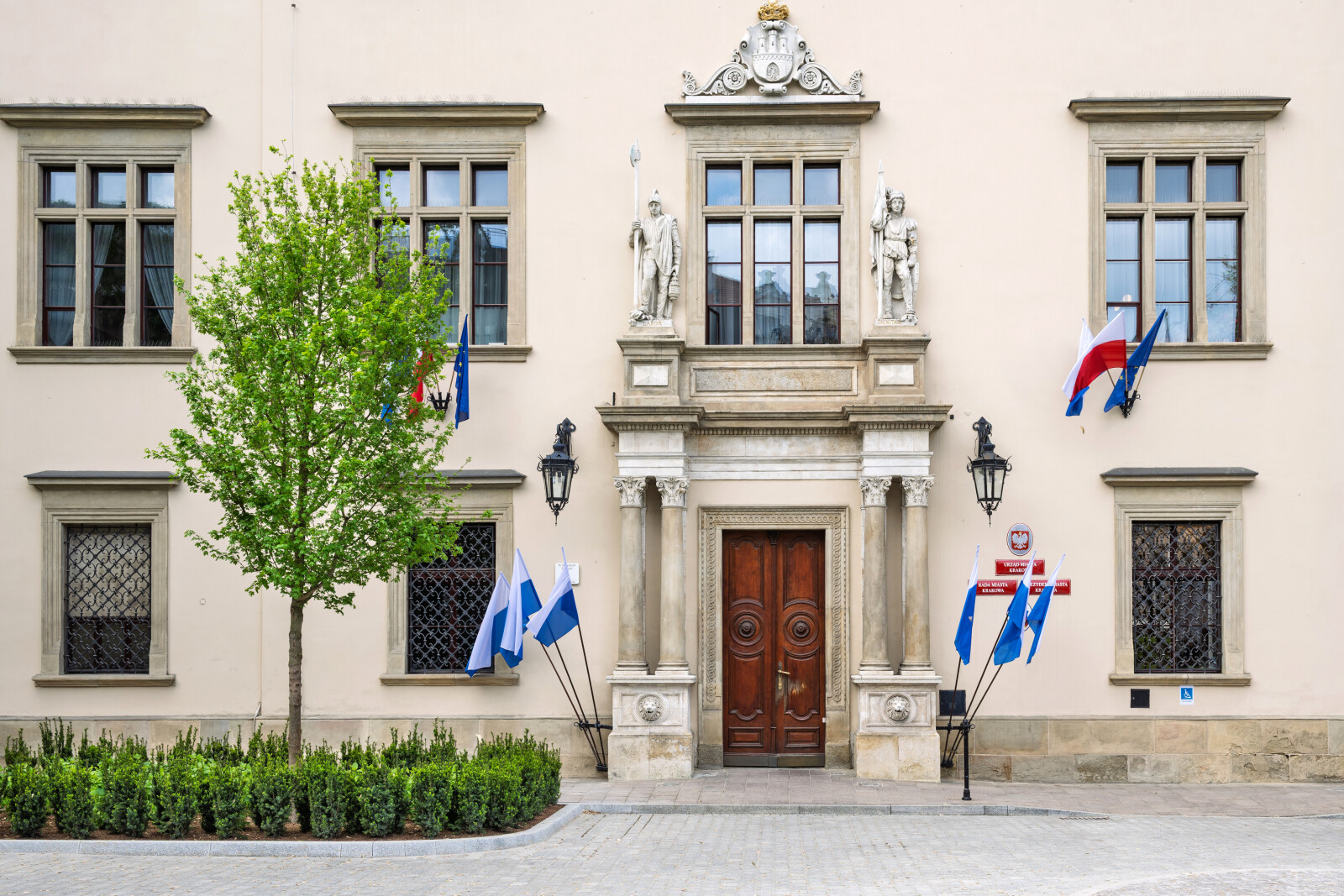 Miszalski, Da Się, zielony parking, zielń strefa wypoczynku, magistrat, zdjęcia, fotokronika, kr  Autor: Piotr Wojnarowski