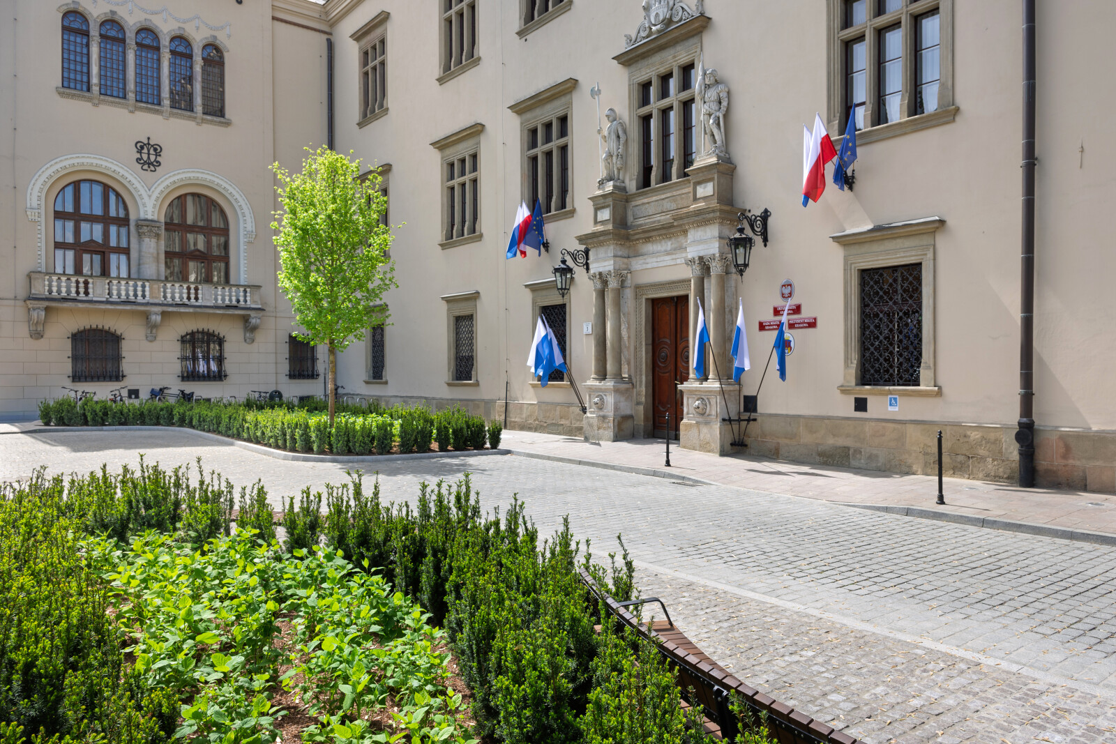 Miszalski, Da Się, zielony parking, zielń strefa wypoczynku, magistrat, zdjęcia, fotokronika, kr  Autor: Piotr Wojnarowski