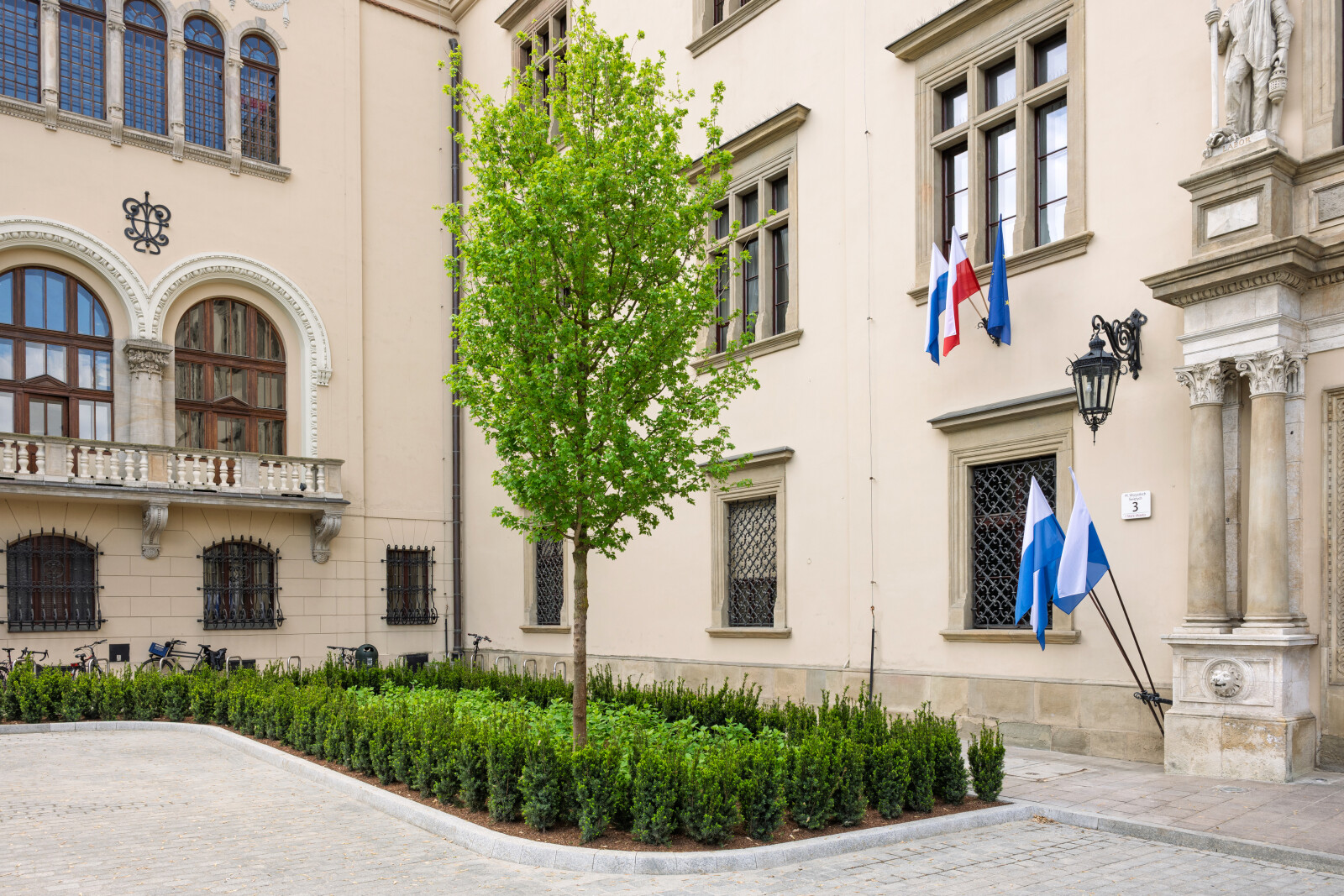 Miszalski, Da Się, zielony parking, zielń strefa wypoczynku, magistrat, zdjęcia, fotokronika, kr  Autor: Piotr Wojnarowski