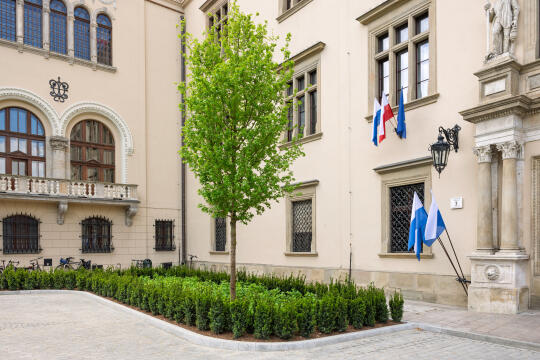 Miszalski, Da Się, zielony parking, zielń strefa wypoczynku, magistrat, zdjęcia, fotokronika, kr