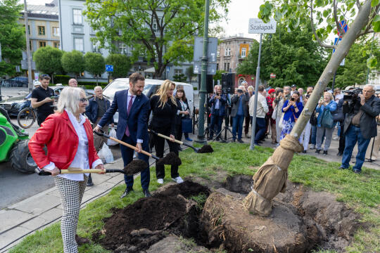 0S4A2101.jpg-Skwer Szałapak, Miszalski, Zdjęcia,