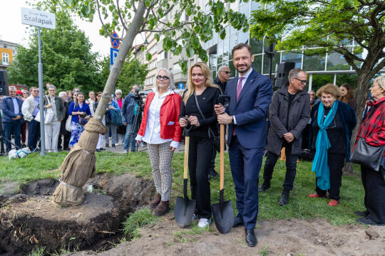 0S4A2132.jpg-Skwer Szałapak, Miszalski, Zdjęcia,