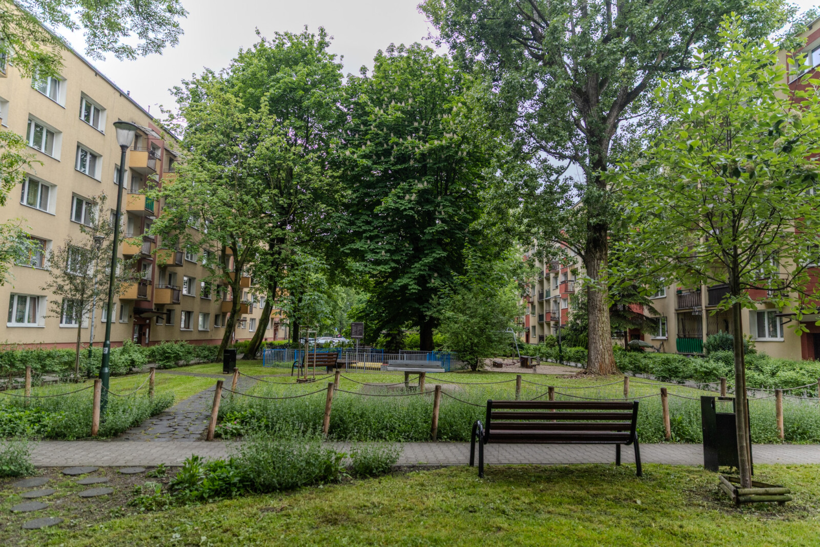 0S4A7038.jpg-Spotkanie, Miszalski, Mieszkańcy, Ulica Miechowity, zdjęcia  Autor: B. Świerzowski