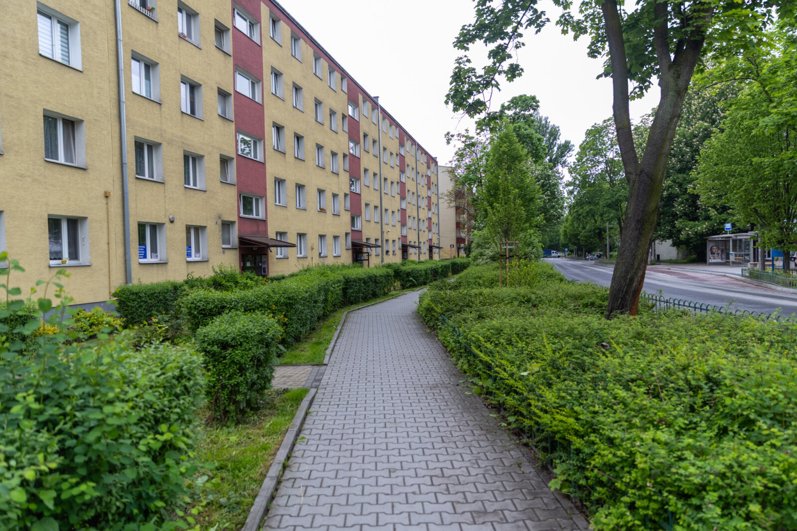 0S4A7242.jpg-Spotkanie, Miszalski, Mieszkańcy, Ulica Miechowity, zdjęcia  Autor: B. Świerzowski