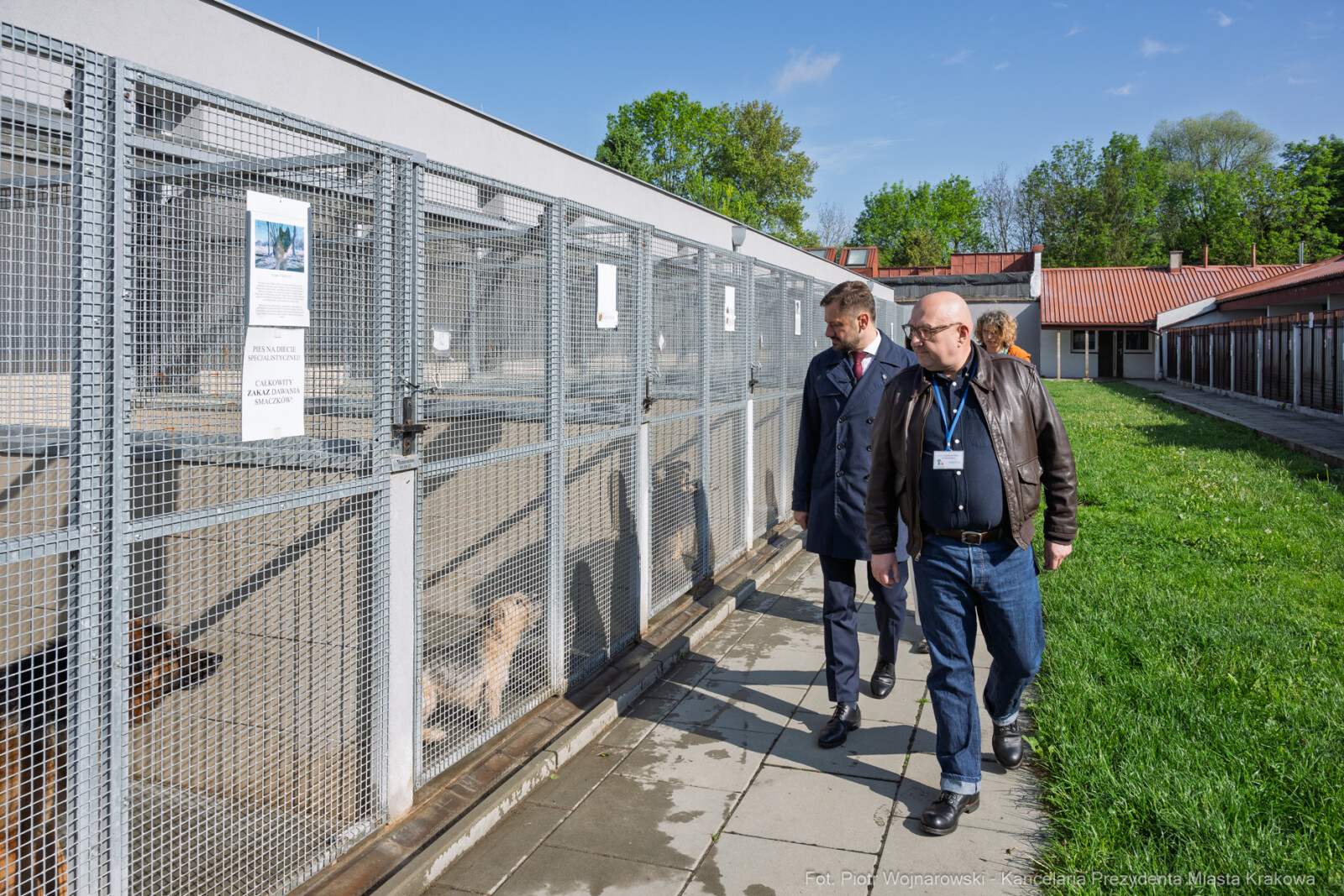 Miszalski, schronisko dla zwierząt, wizyta                      zdjęcia, fotokronika, kraków, fot  Autor: Piotr Wojnarowski
