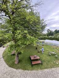 IMG_8058.jpeg-tkanka