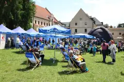 Tłum ludzi na festynie, namioty z logo Krakowa, leżaki i atrakcje na trawie.