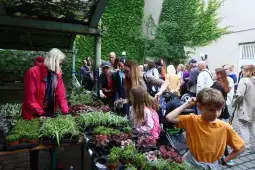 Targ roślin z dużą liczbą osób przeglądających i kupujących rośliny.