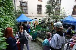 Wydarzenie plenerowe w Krakowie z występami artystycznymi i widownią.