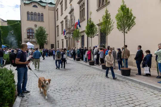 Kolejka ludzi przed budynkiem, drzewa w donicach, pies na smyczy.