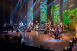 Koncert zespołu muzycznego na scenie z efektami świetlnymi i instrumentami.