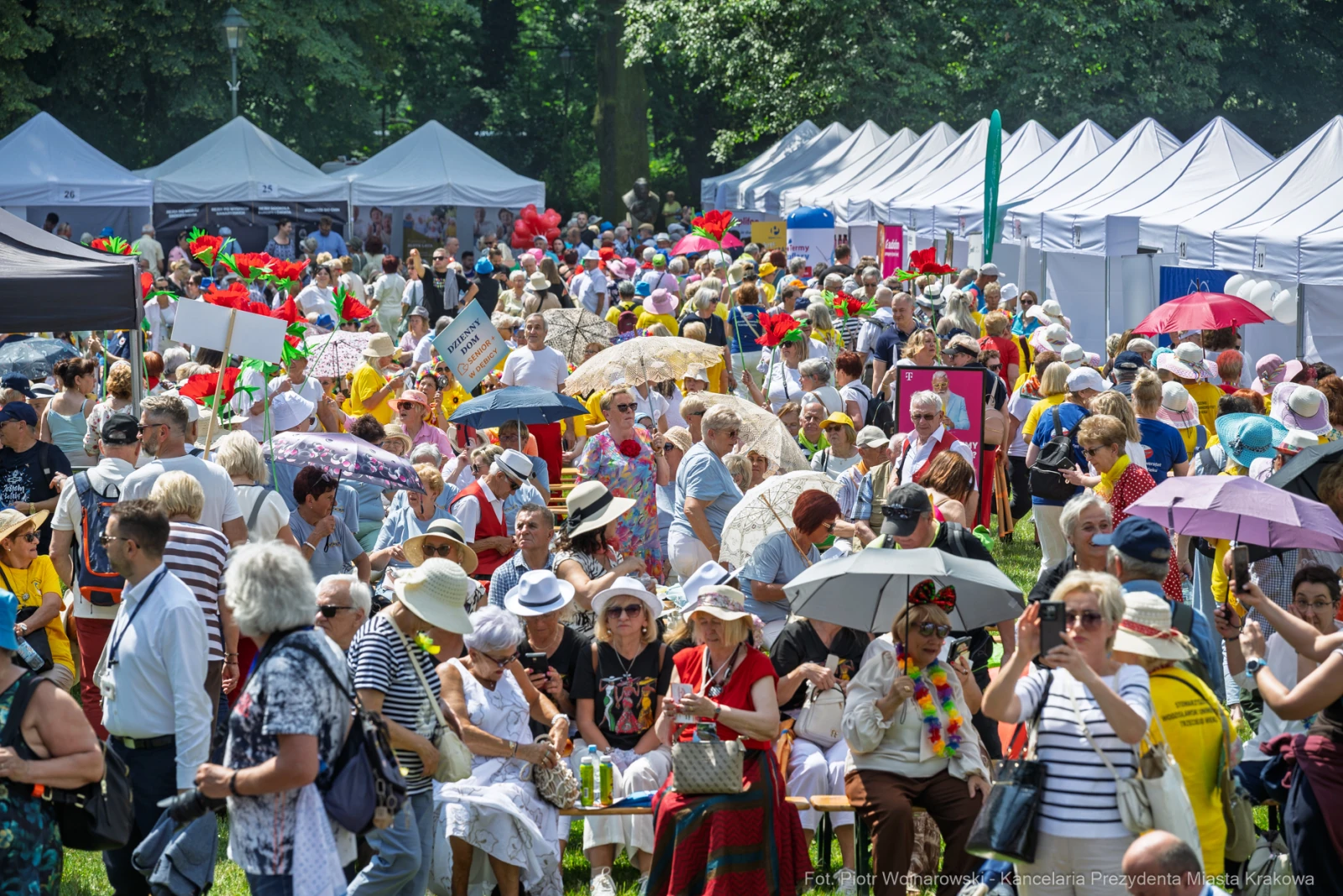 Tłum ludzi na festiwalu, wiele parasoli i kolorowych akcesoriów.  Autor: Piotr Wojnarowski