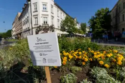 Ogród Nowy Horyzont z informacyjnym znakiem i kwiatami w tle.