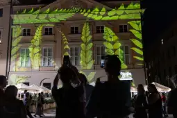 Projekcja liści na elewacji budynku w nocy, ludzie oglądają z zainteresowaniem.