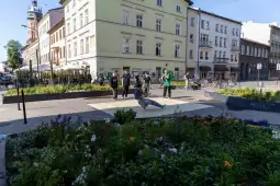 Otwarcie Ogrodu Norymberskiego i odsłonięcie muralu Marii Sibylli Merian