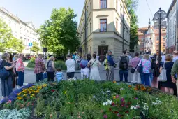 Otwarcie Ogrodu Norymberskiego i odsłonięcie muralu Marii Sibylli Merian