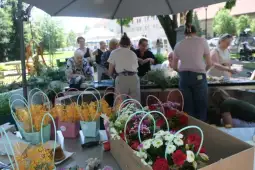 Warsztaty florystyczne z uczestnikami tworzącymi bukiety w plenerze.