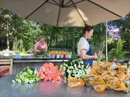 Kobiety przygotowujące kwiaty na stoisku florystycznym w ogrodzie.