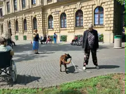 Kobieta spacerująca z psem w parku, w tle osoby siedzące na wózkach inwalidzkich.