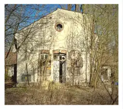 Zrujnowany budynek otoczony przez zarośla i drzewa.
