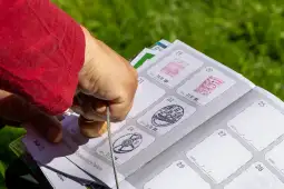 Osoba przykleja znaczki do albumu na tle zielonej trawy.