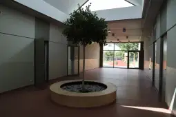 Nowoczesne wnętrze z drzewem w centralnej części i dużymi oknami.