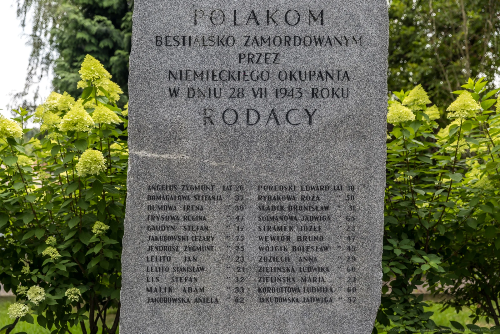 Pomnik upamiętniający Polaków zamordowanych przez niemieckiego okupanta w 1943 roku.  Autor: Bogusław Świerzowski