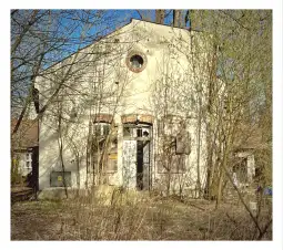 Zrujnowany budynek otoczony przez drzewa i krzewy.
