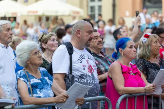 Grupa ludzi słuchających występu na świeżym powietrzu.