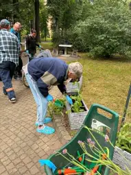 Osoby pracujące w ogrodzie, sadzące rośliny w donicach.