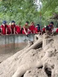 Grupa dzieci w czerwonych koszulach obserwuje zwierzęta w zoo.