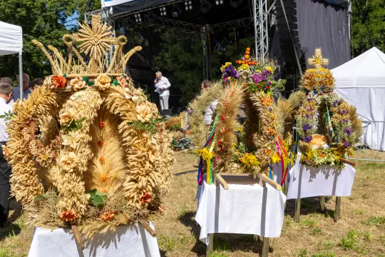 Trzy wieńce dożynkowe ozdobione kwiatami i zbożem, ustawione na białych stołach.
