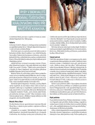 5.jpg-artykuł w czeskim magazynie "Reporter"