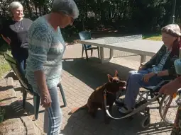 Kobieta na wózku inwalidzkim, pies obok, dwie osoby w tle. Słoneczny dzień w ogrodzie.