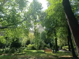 Zielony park z drzewami i ławkami, w tle widoczny budynek z kopułą.