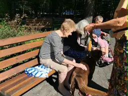 Starsze kobiety siedzą na ławce w parku, jedna z nich głaszcze psa.