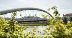 Most nad rzeką z zielonymi roślinami w pierwszym planie.
