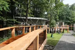 Nowoczesna architektura w otoczeniu zieleni, drewniane tarasy i ścieżki w lesie.