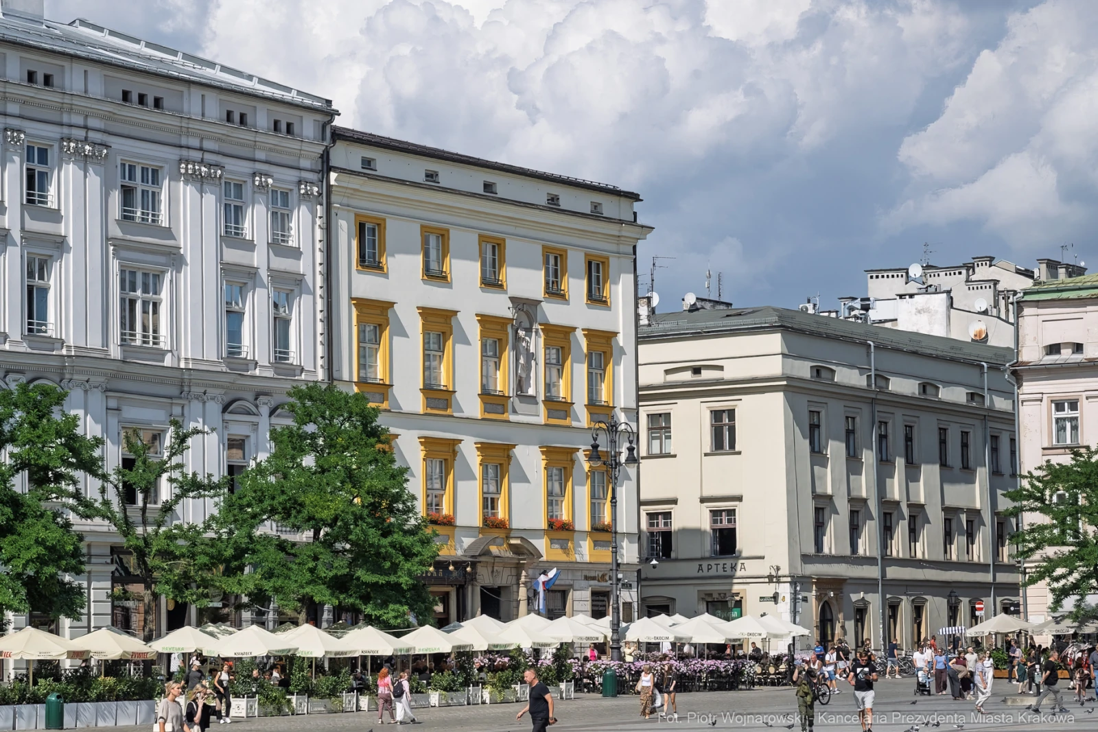 Krakowski rynek z kolorowymi kamienicami i parasolami w kawiarniach.  Autor: Piotr Wojnarowski