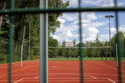 Boisko sportowe z koszykówką i siatkówką, otoczone drzewami i niebieskim niebem.