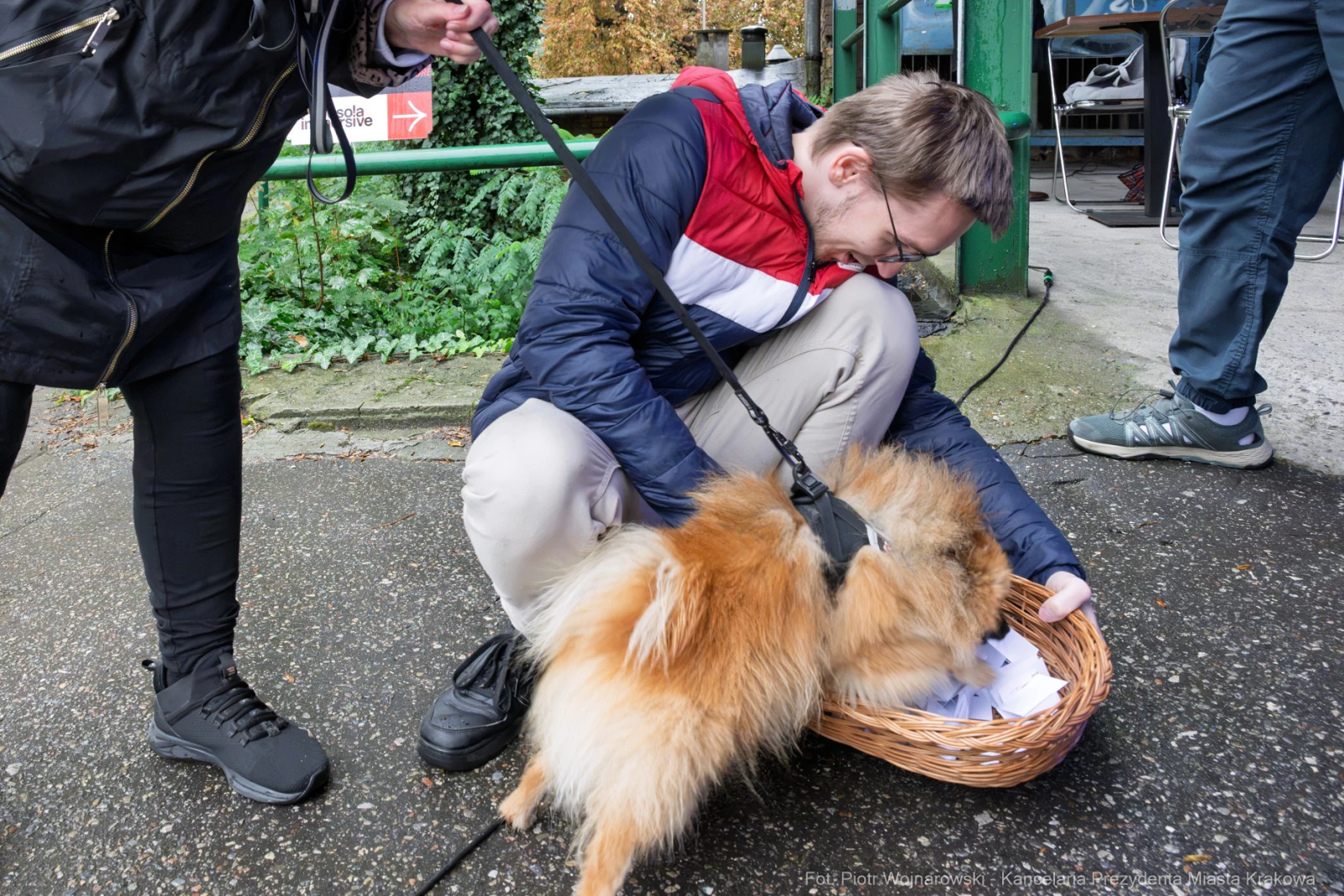 Mężczyzna z uśmiechem trzyma dwa pomeraniany obok koszyka z kartkami.  Autor: Piotr Wojnarowski