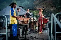 Muzycy grający na instrumentach perkusyjnych podczas występu na scenie.