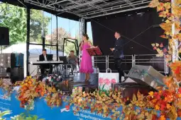 Występ artystyczny na scenie z muzykami i tancerką w różowej sukience.