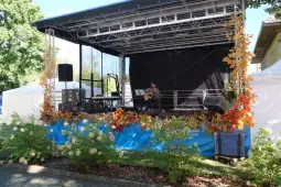 Muzyk grający na gitarze na scenie ozdobionej jesiennymi liśćmi.