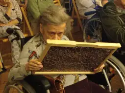 Starsza kobieta w wózku inwalidzkim przygląda się ramce z pszczołami.