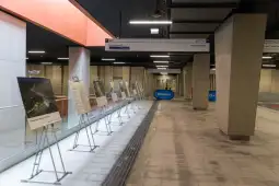 Wystawa zdjęć w przestrzeni publicznej, tablice informacyjne ustawione w rzędzie.
